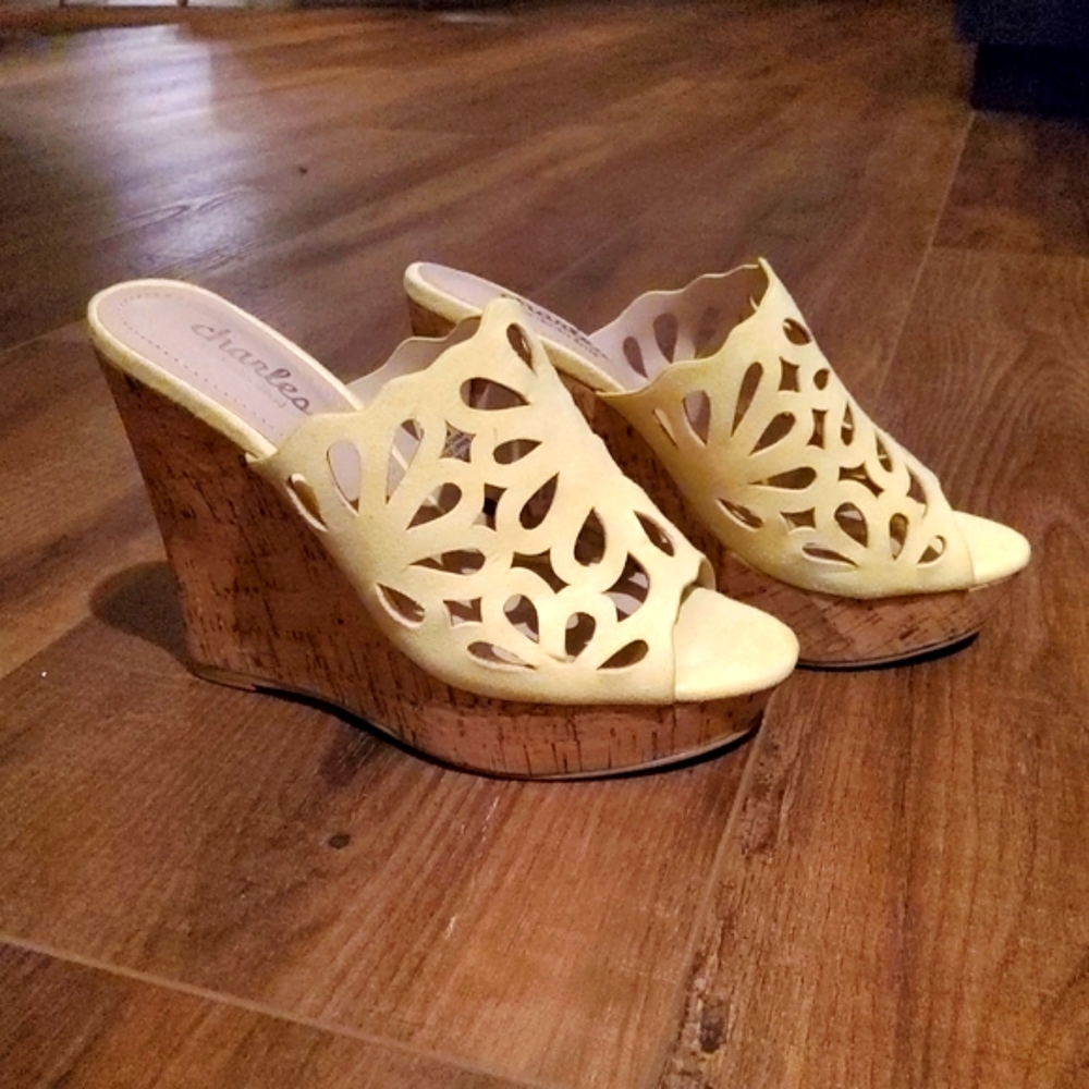 Charles David wedge slide